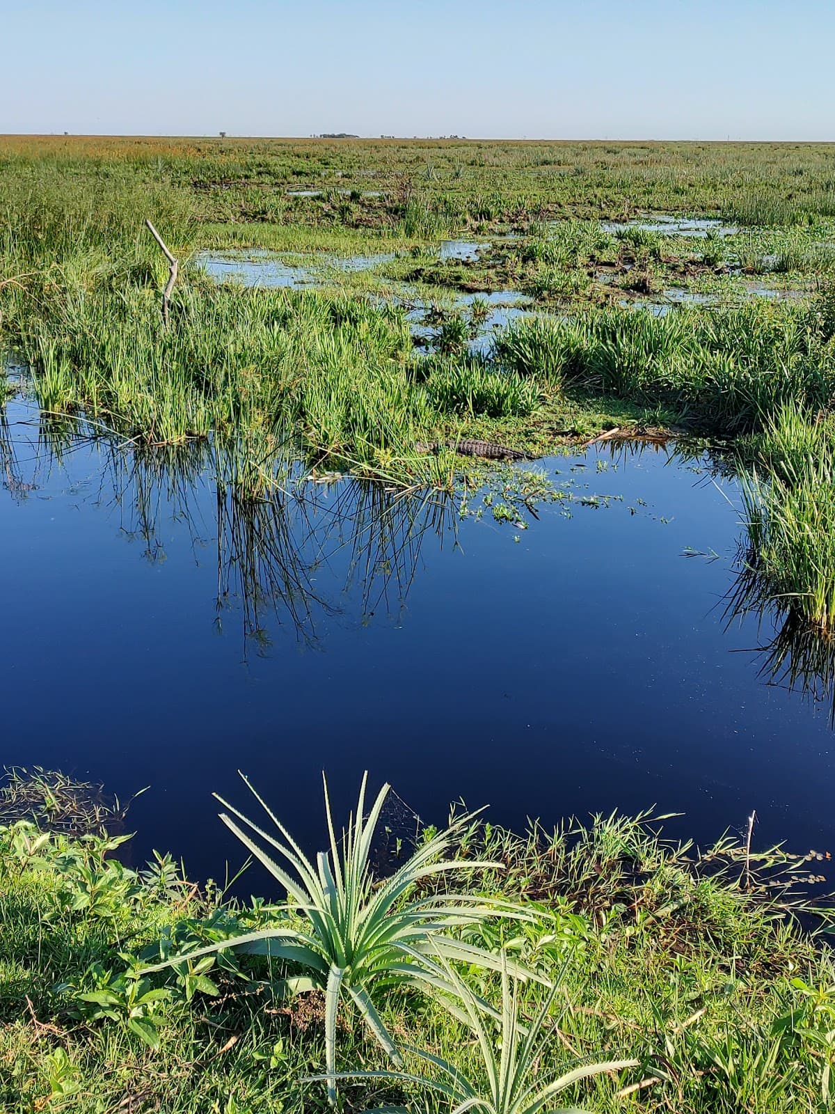 Portal Cambyretá (Ituzaingó) - Image 1