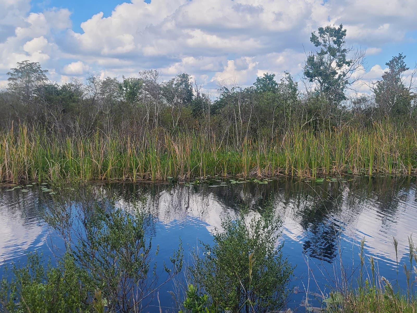 Arthur R. Marshall Loxahatchee NWR - Image 1