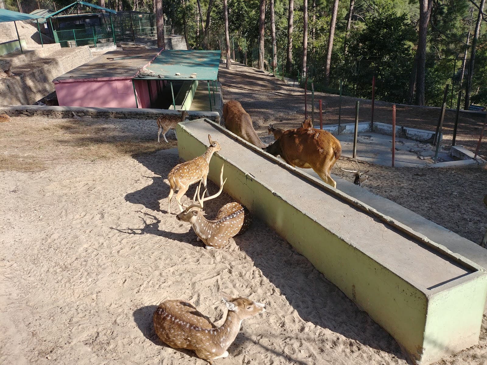 Deer Park (Almora) - Image 1