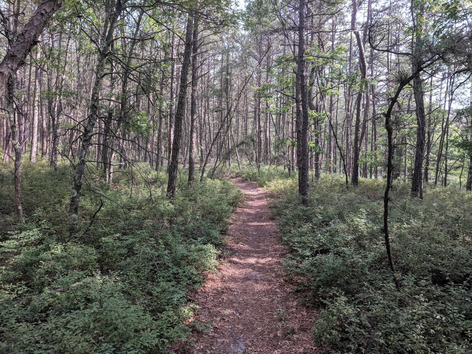 David A. Sarnoff Preserve - Image 1