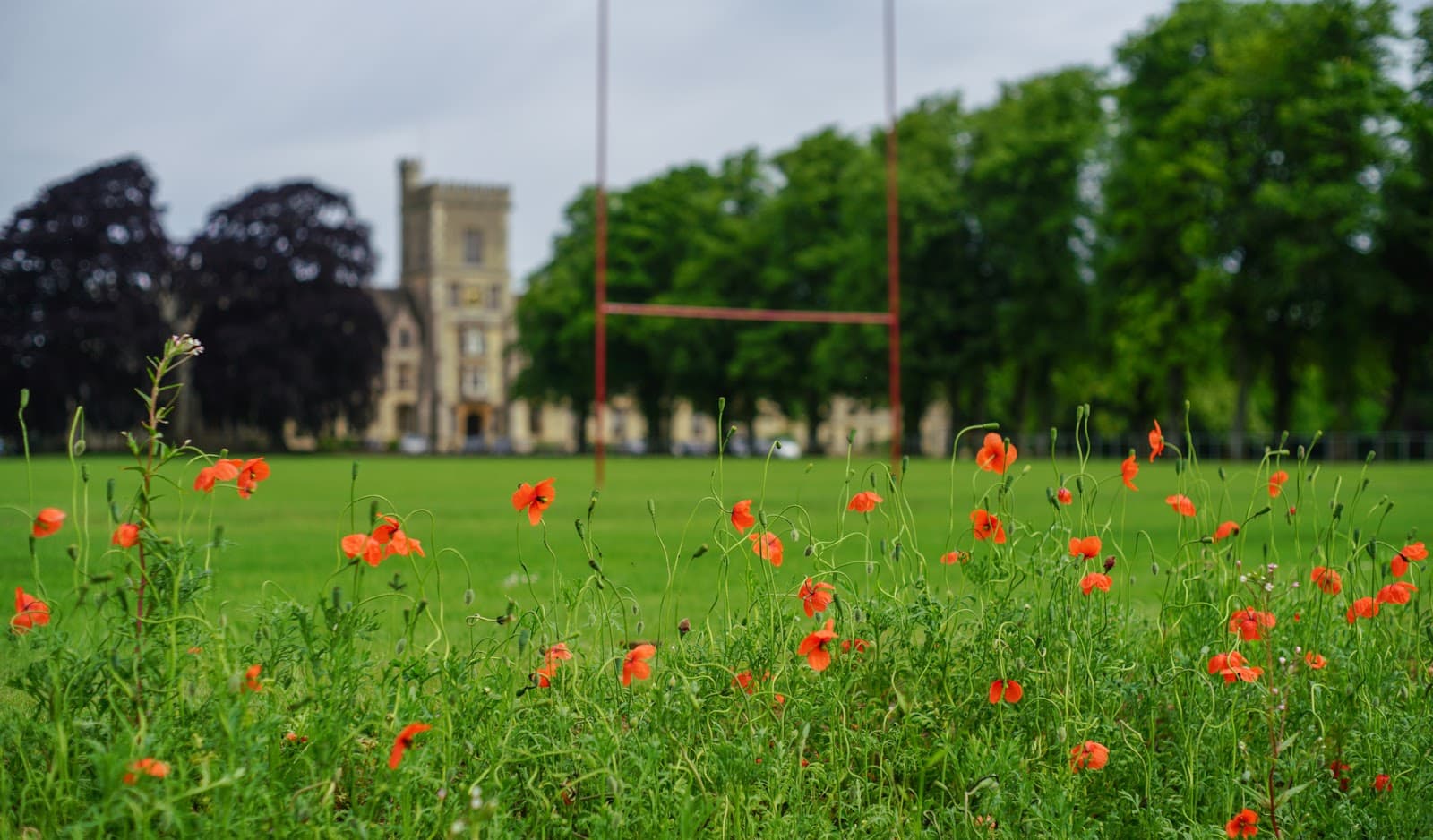 Royal Agricultural University - Image 1