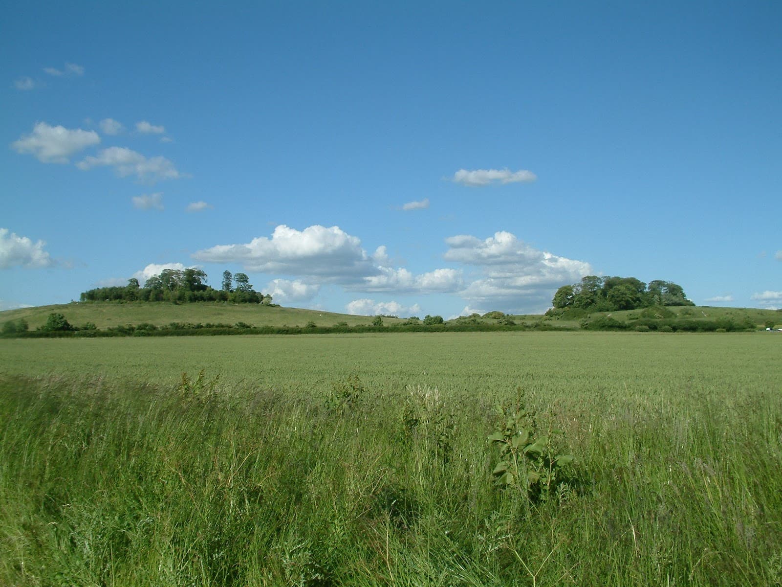 Earth Trust Centre - Image 1