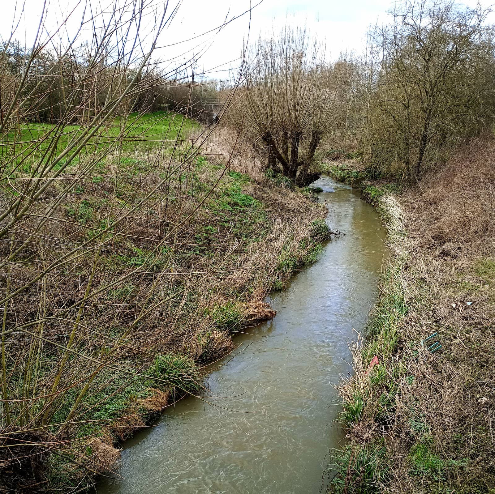 Accessible Walking Trails