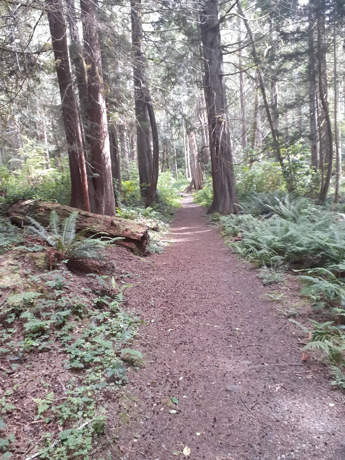 Jay Pritzker Pavilion