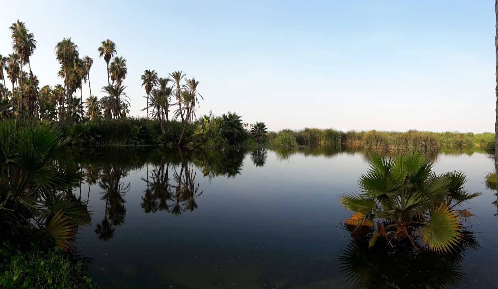 San José del Cabo Estuary - Image 1
