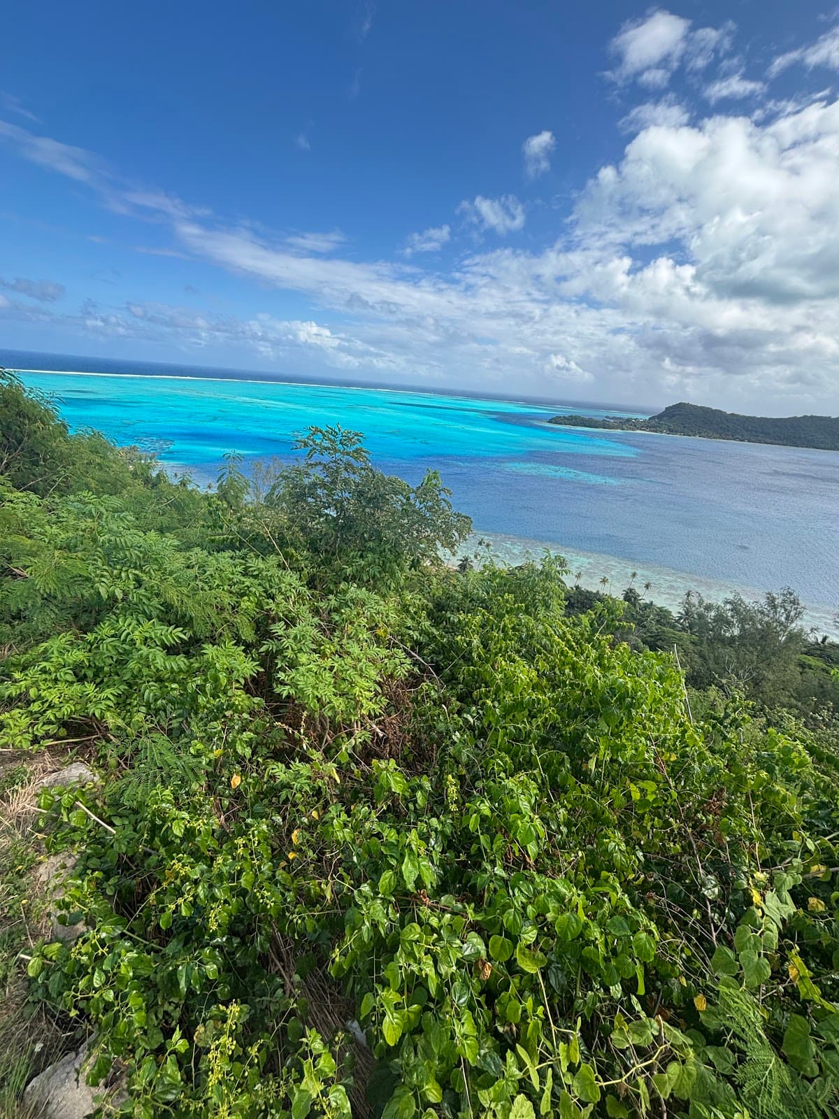 Vaitape Antenna Viewpoint - Image 1