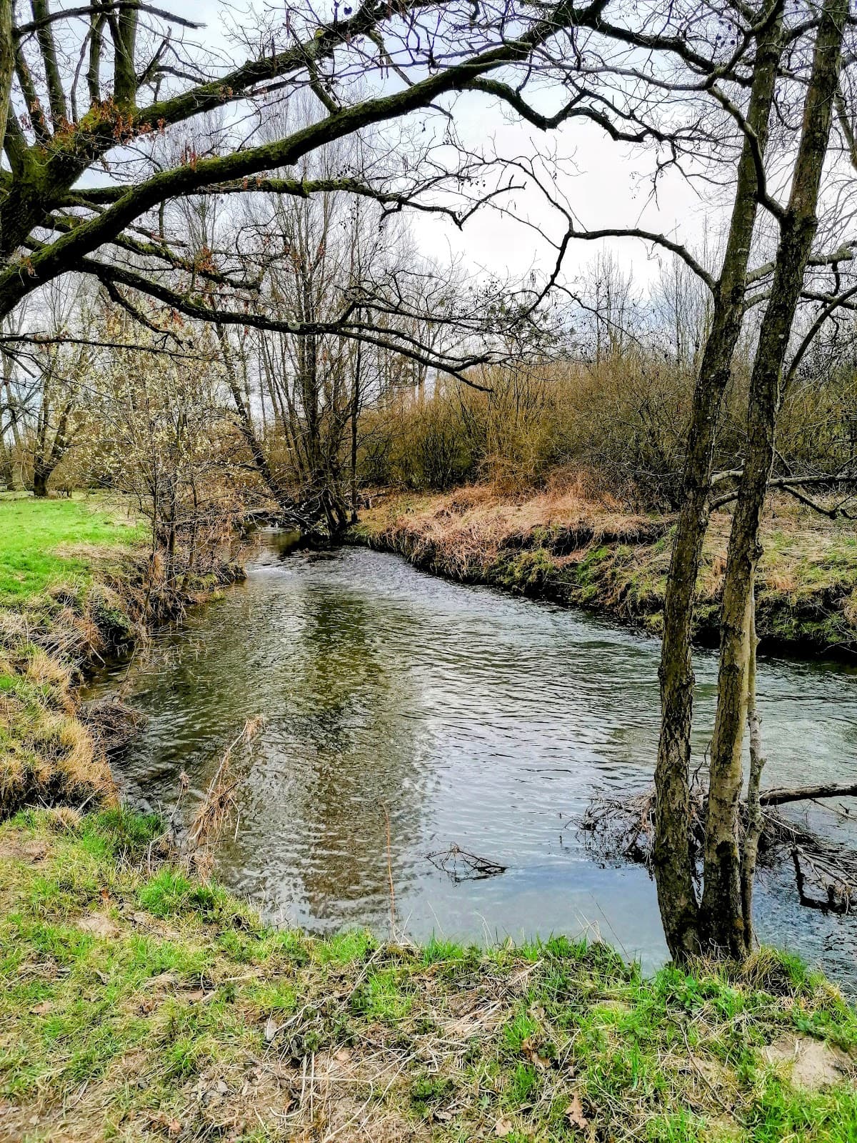 Cottessen - Image 1