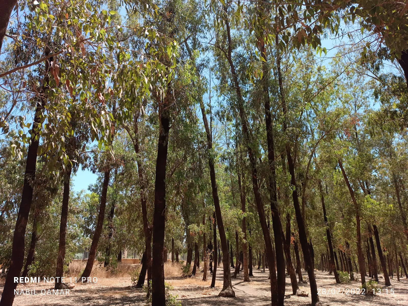 Stroller & Wheelchair Accessibility