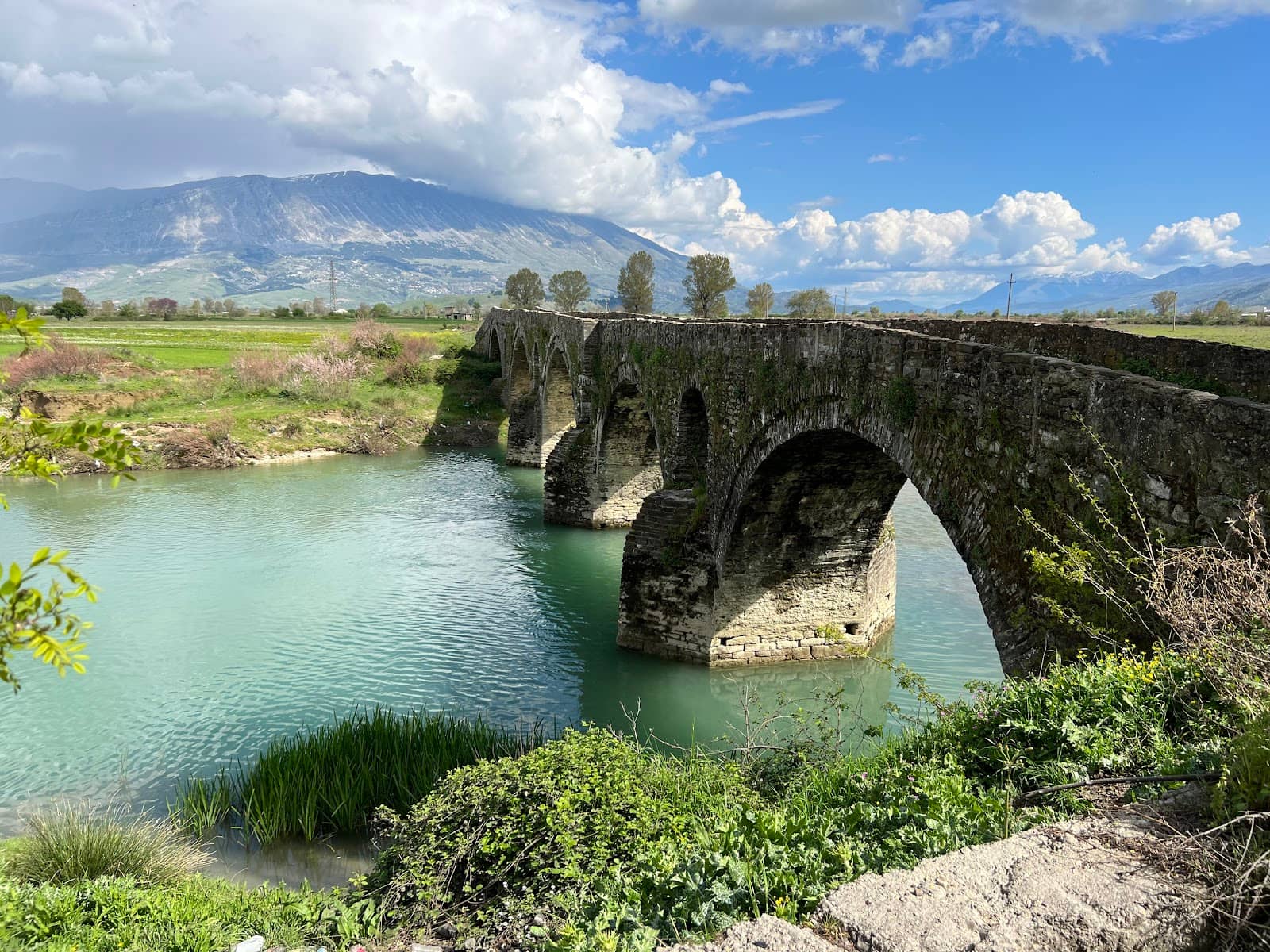 Local Life Encounter