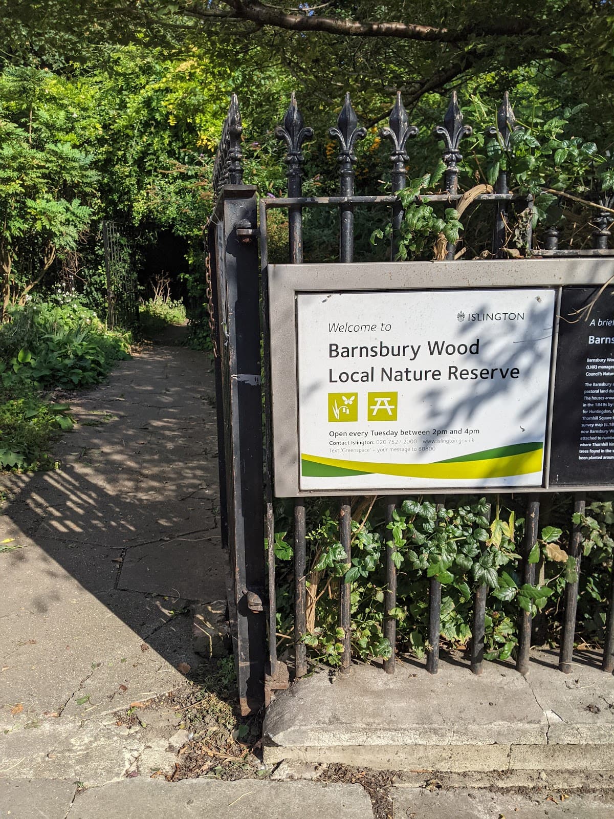 Barnsbury Wood Nature Reserve - Image 1
