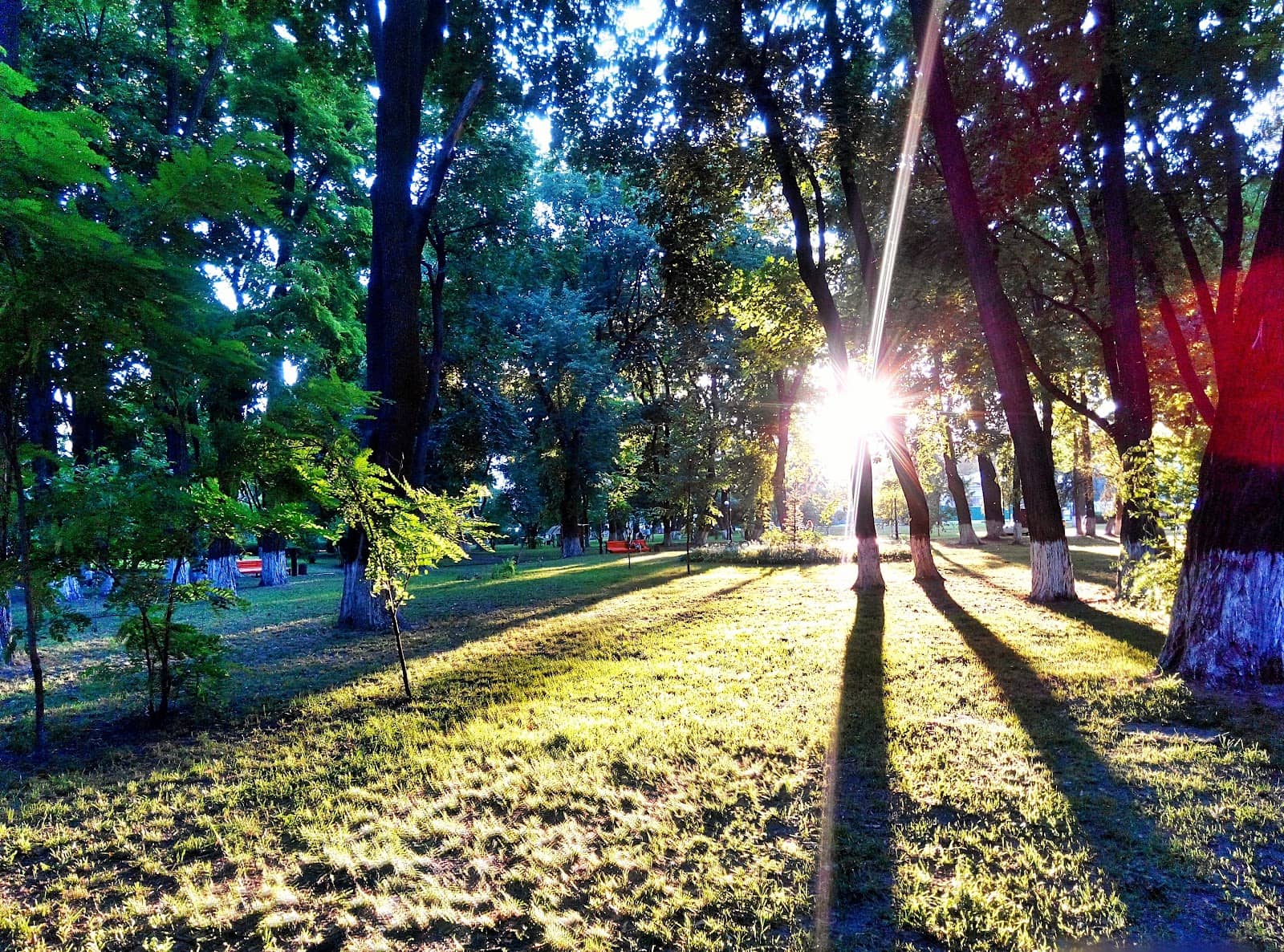 Children's Playground