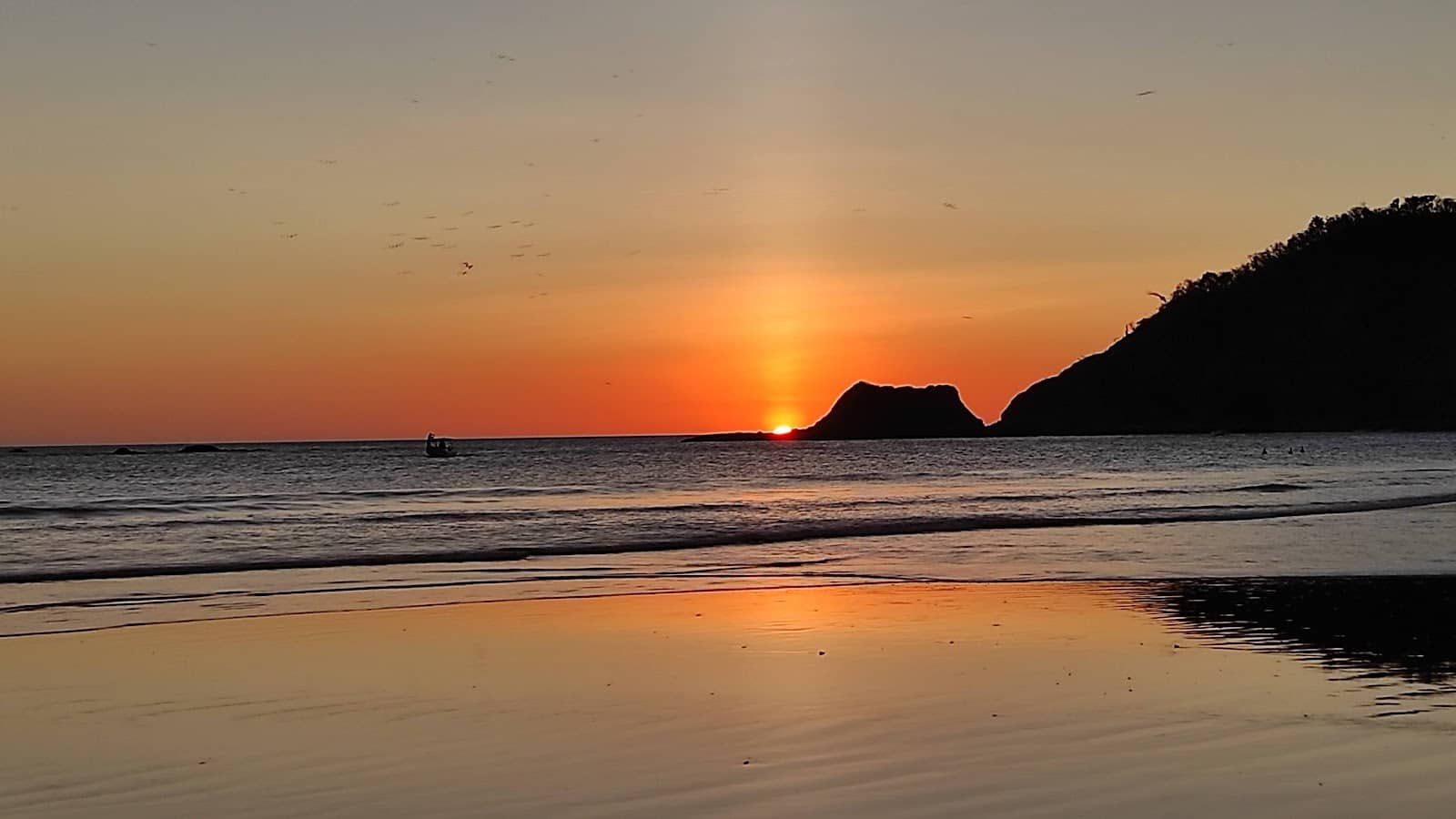 Surfing Opportunities