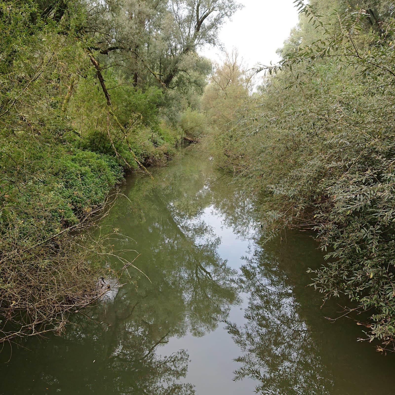 Seefelder Aach Estuary Nature Reserve - Image 1