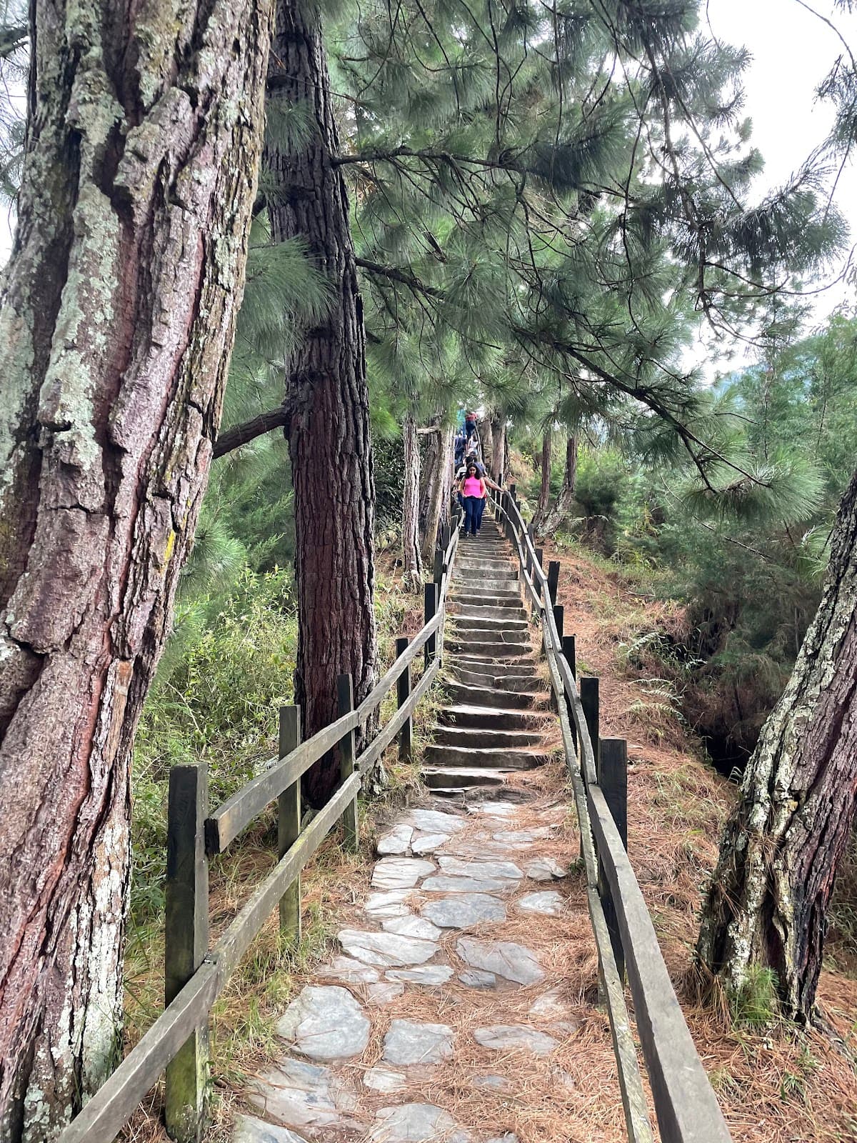Mirador del Cañón del Combeima - Image 1