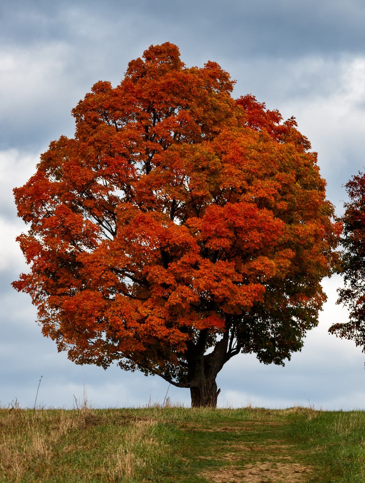 Mount Pollux - Image 1