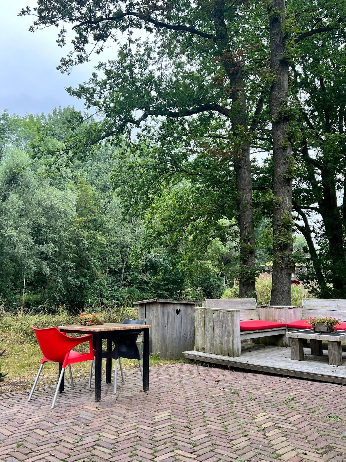 Dog-Friendly Paradise