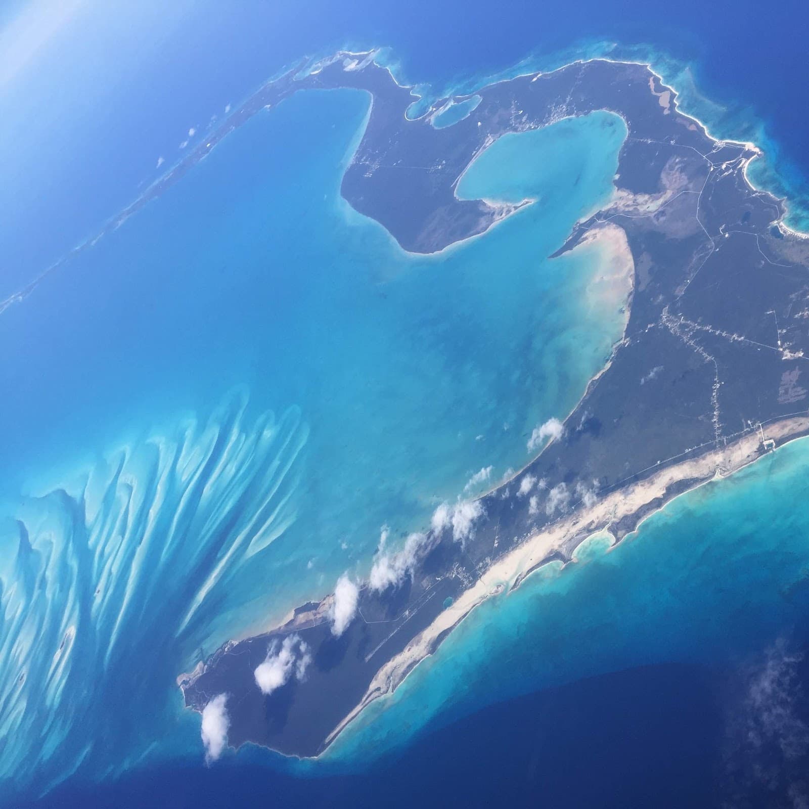 Grand Bahama - Image 1