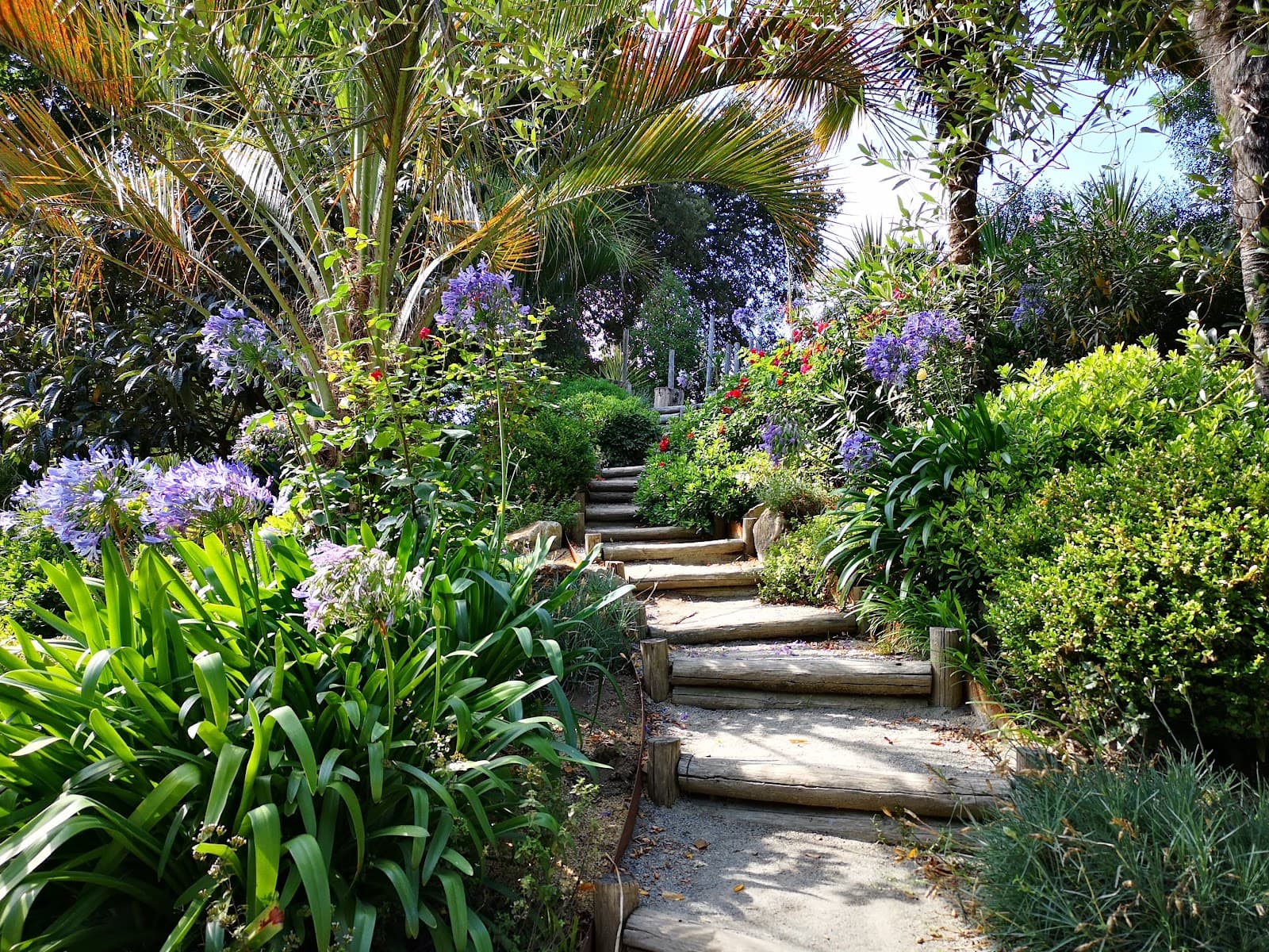 Bois d'Amour (La Baule) - Image 1
