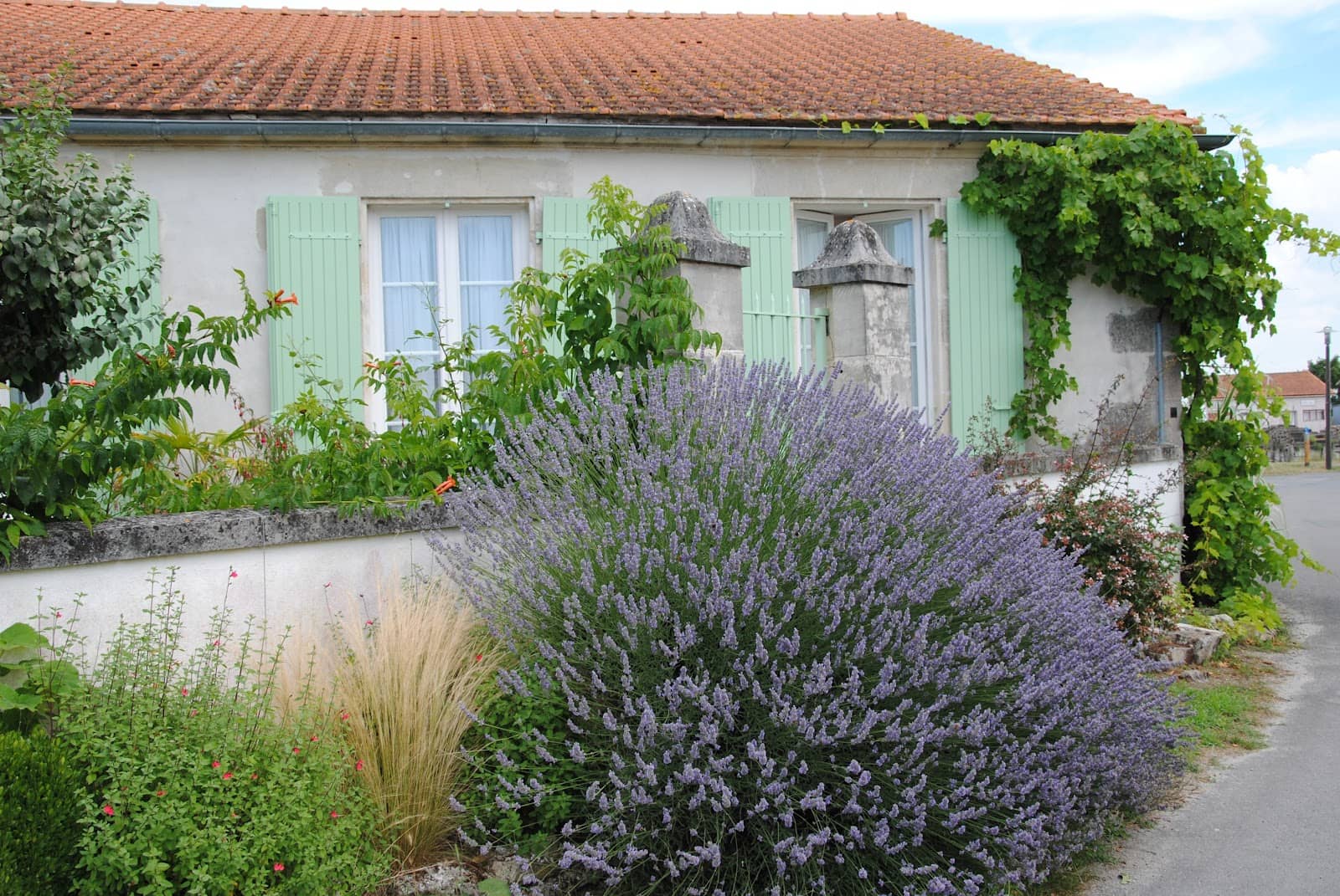 Artistic Impressions