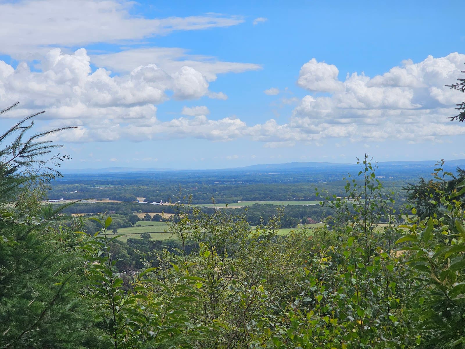 Hascombe Hill - Image 1
