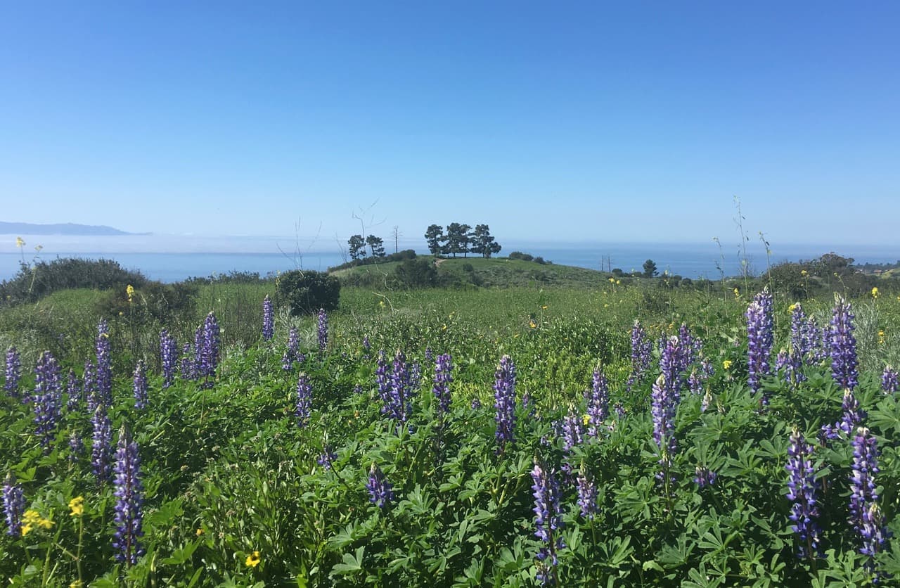 Portuguese Bend Overlook - Image 1