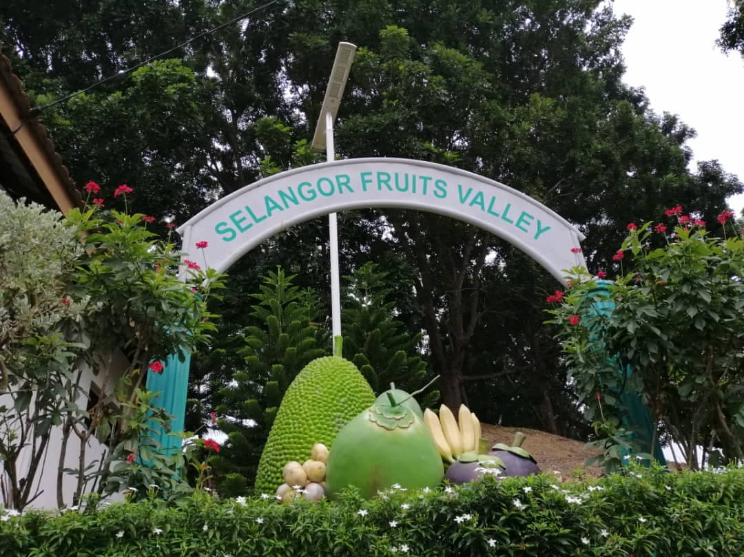 Selangor Fruit Valley - Image 1