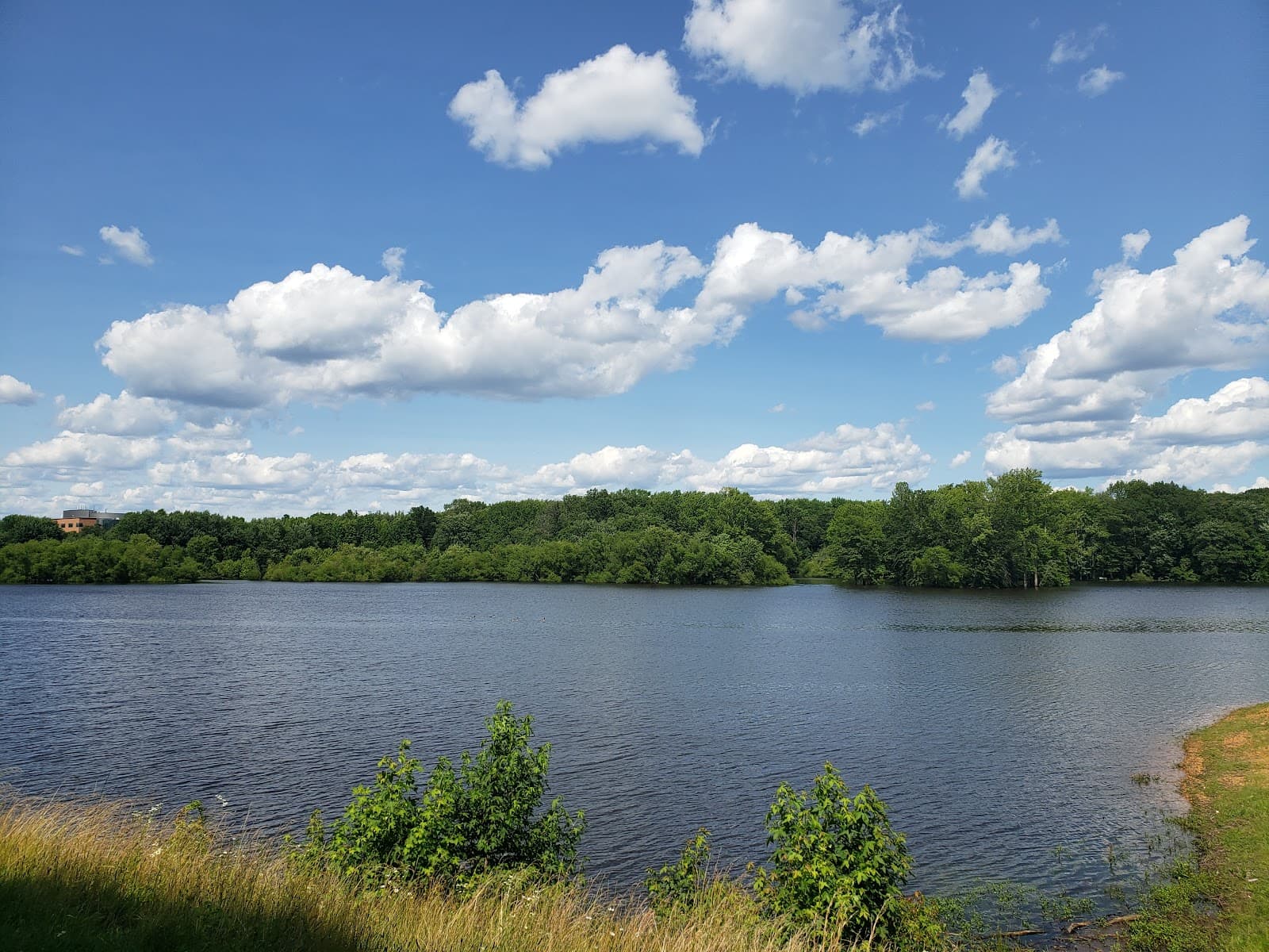 Veterans Park (Hamilton) - Image 1