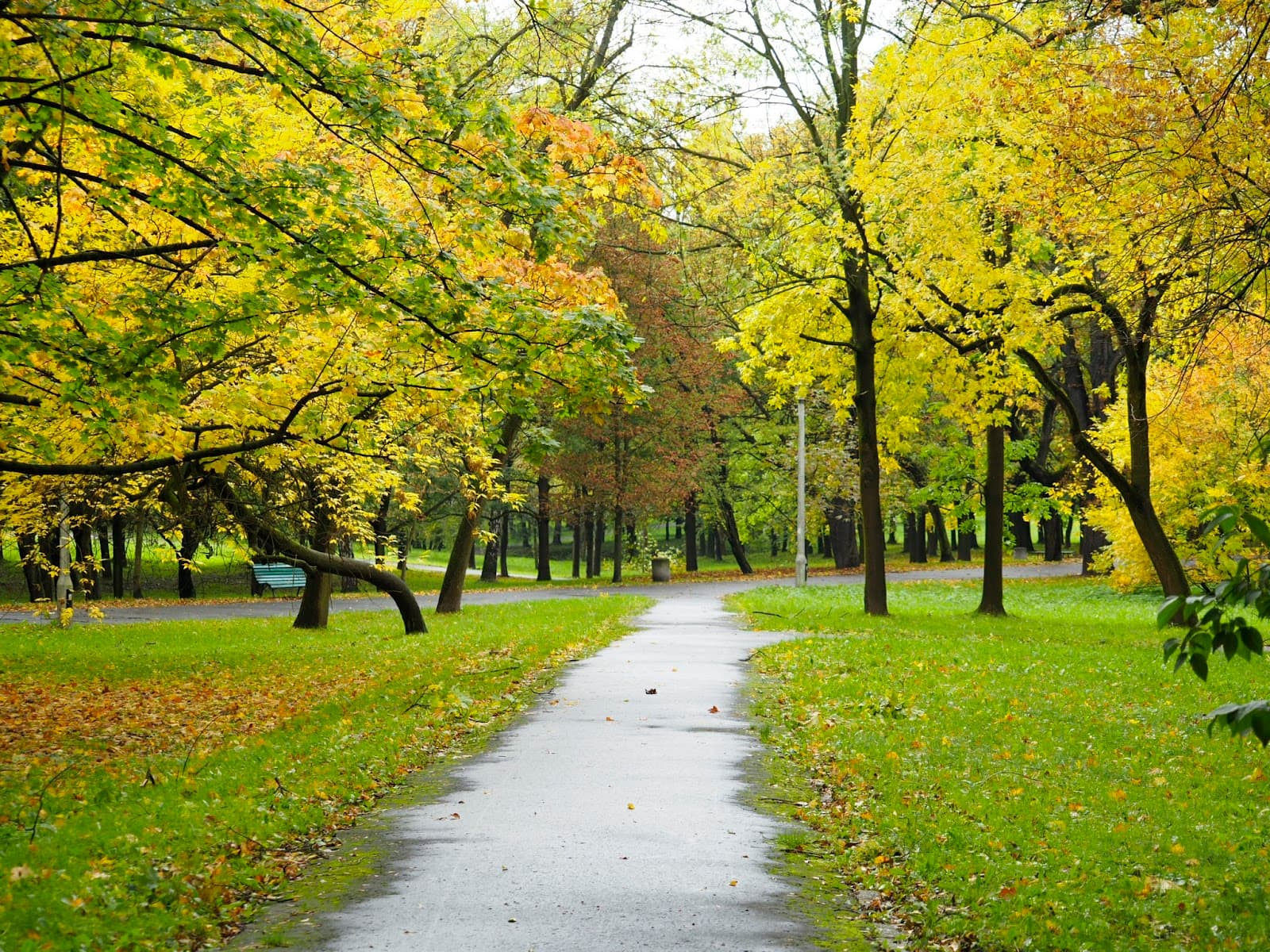 Park Lotników Polskich Kraków - Image 1