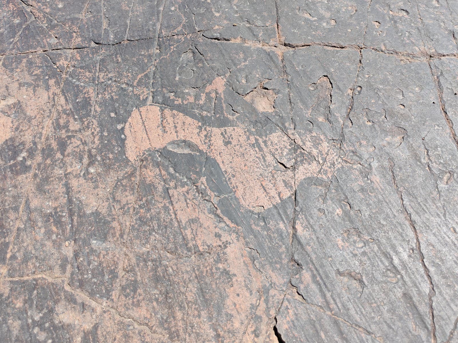 Nooitgedacht Glacial Pavements - Image 1