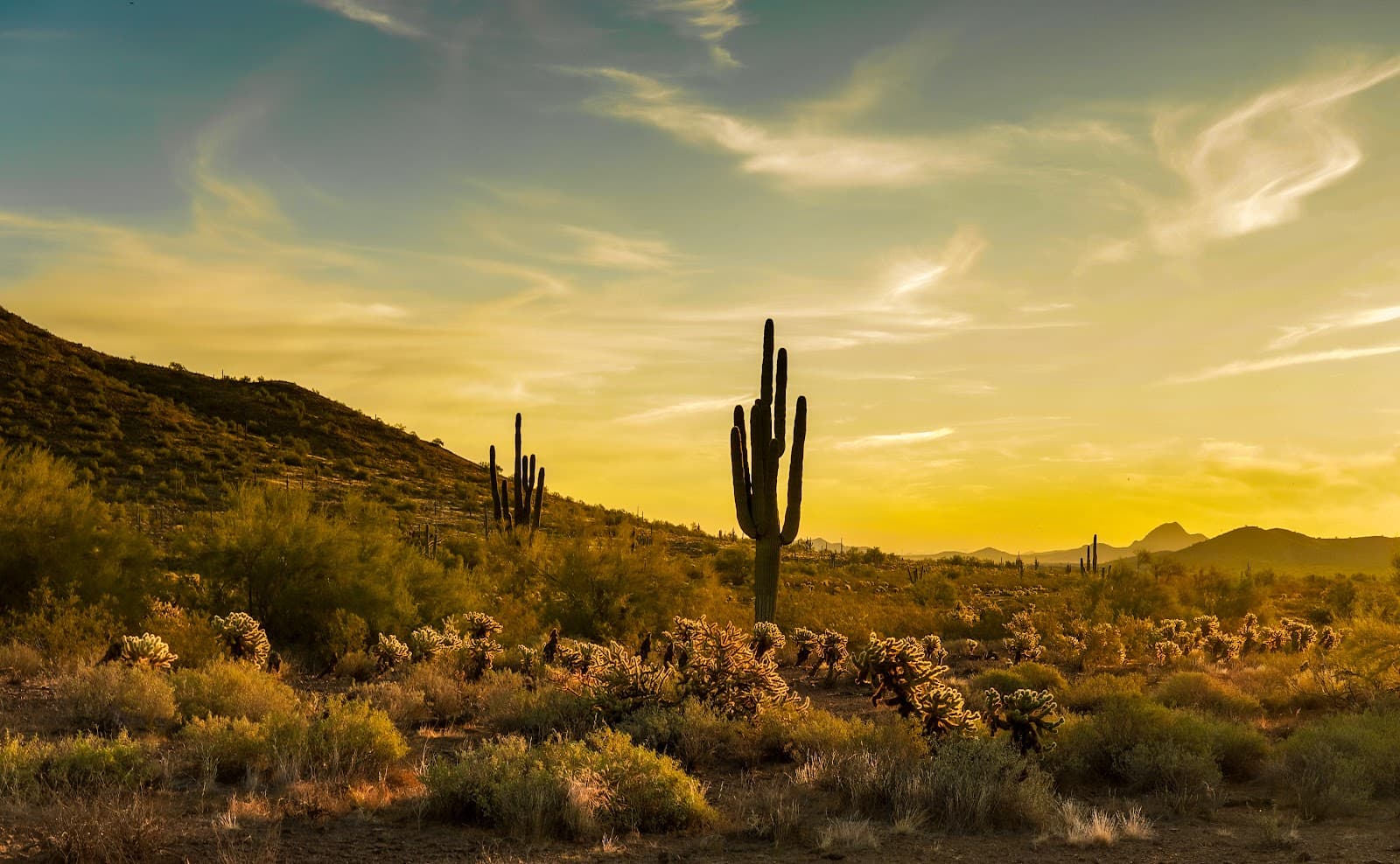 Phoenix Sonoran Preserve Apache Wash - Image 1