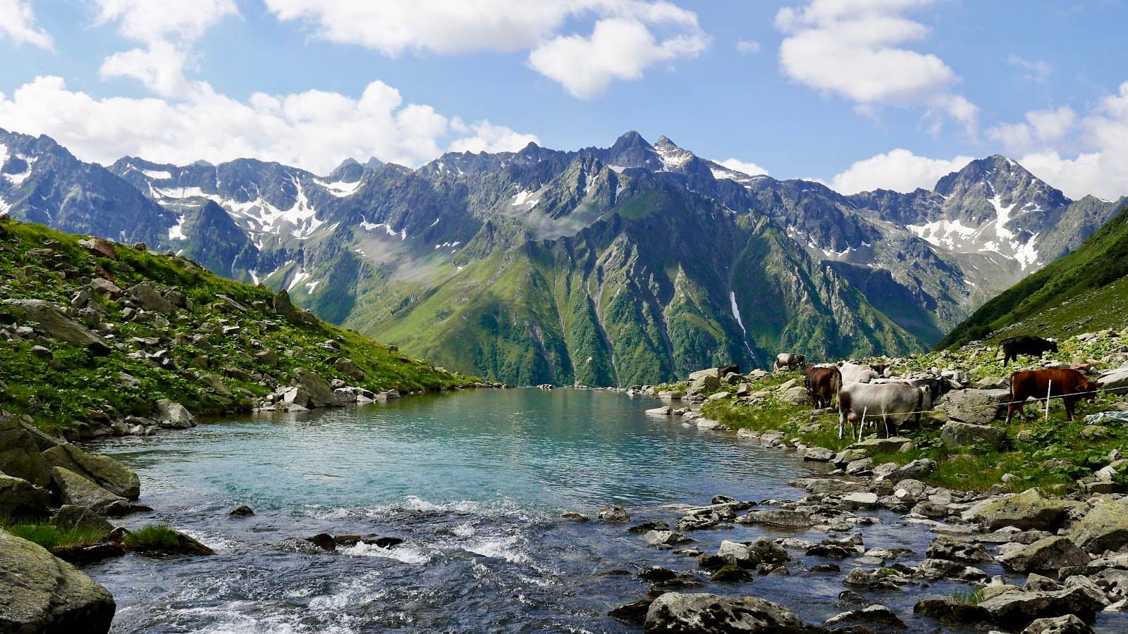 Alpine Pasture Descent (Alpabzug)