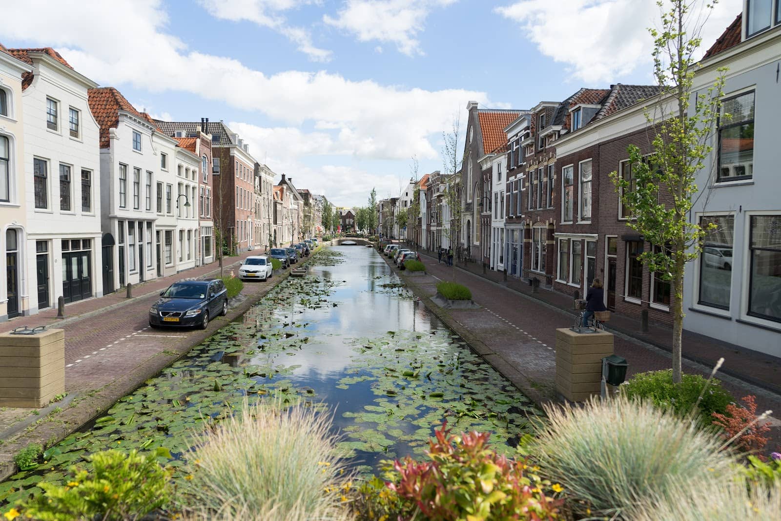 The Hague's Culinary Scene