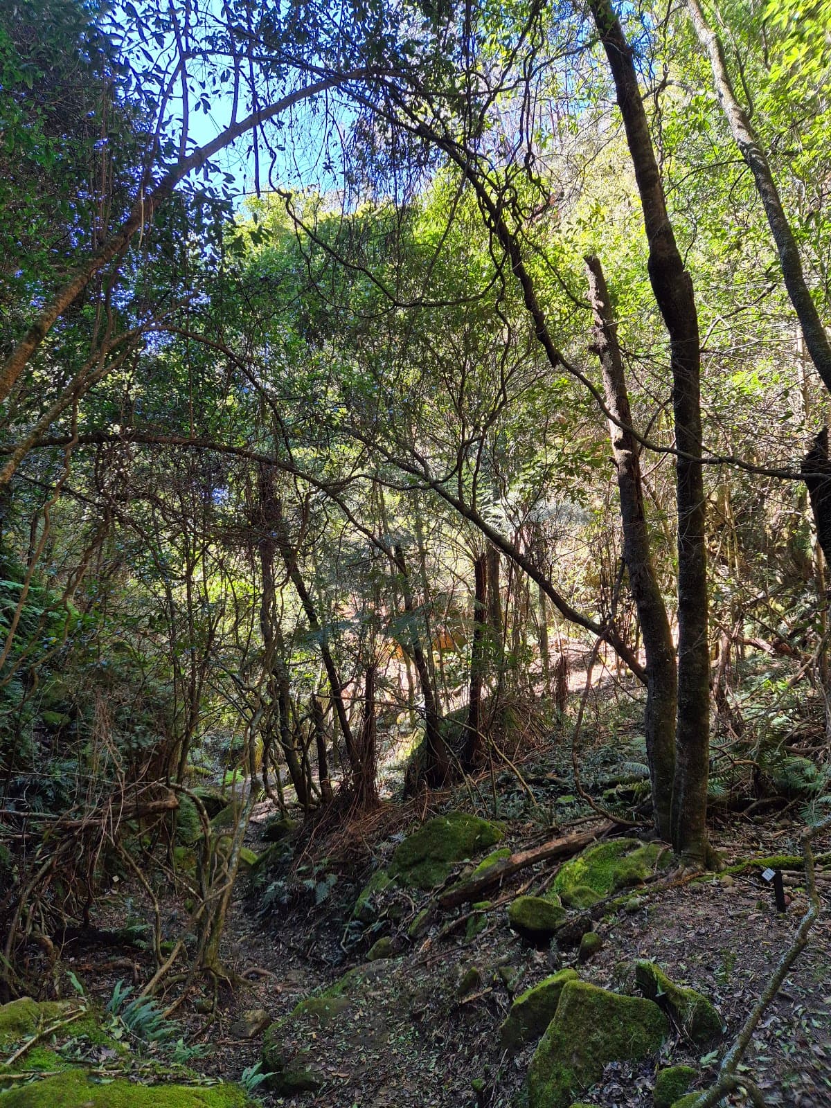 Ferntree Gully Reserve - Image 1