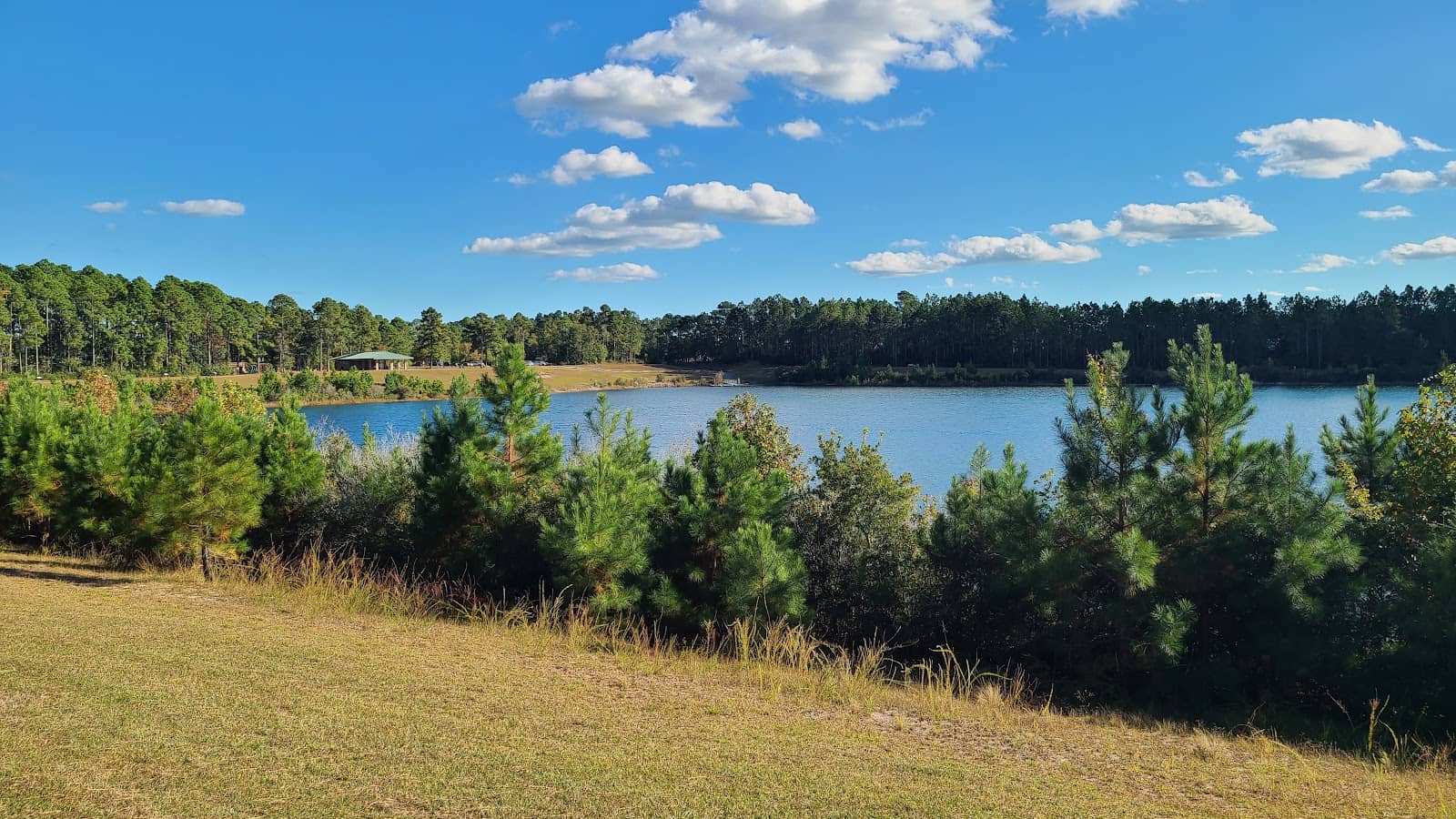 Playground & Picnic Area