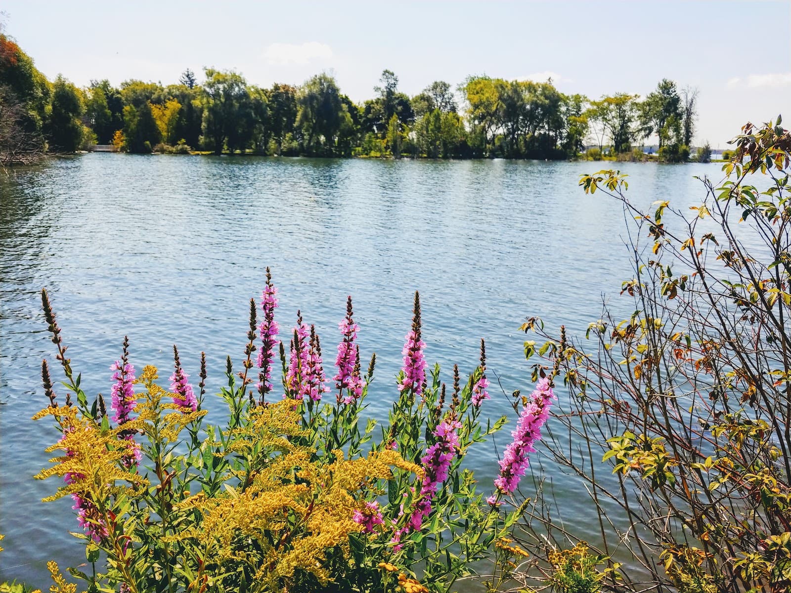 Bellevue Marina - Image 1
