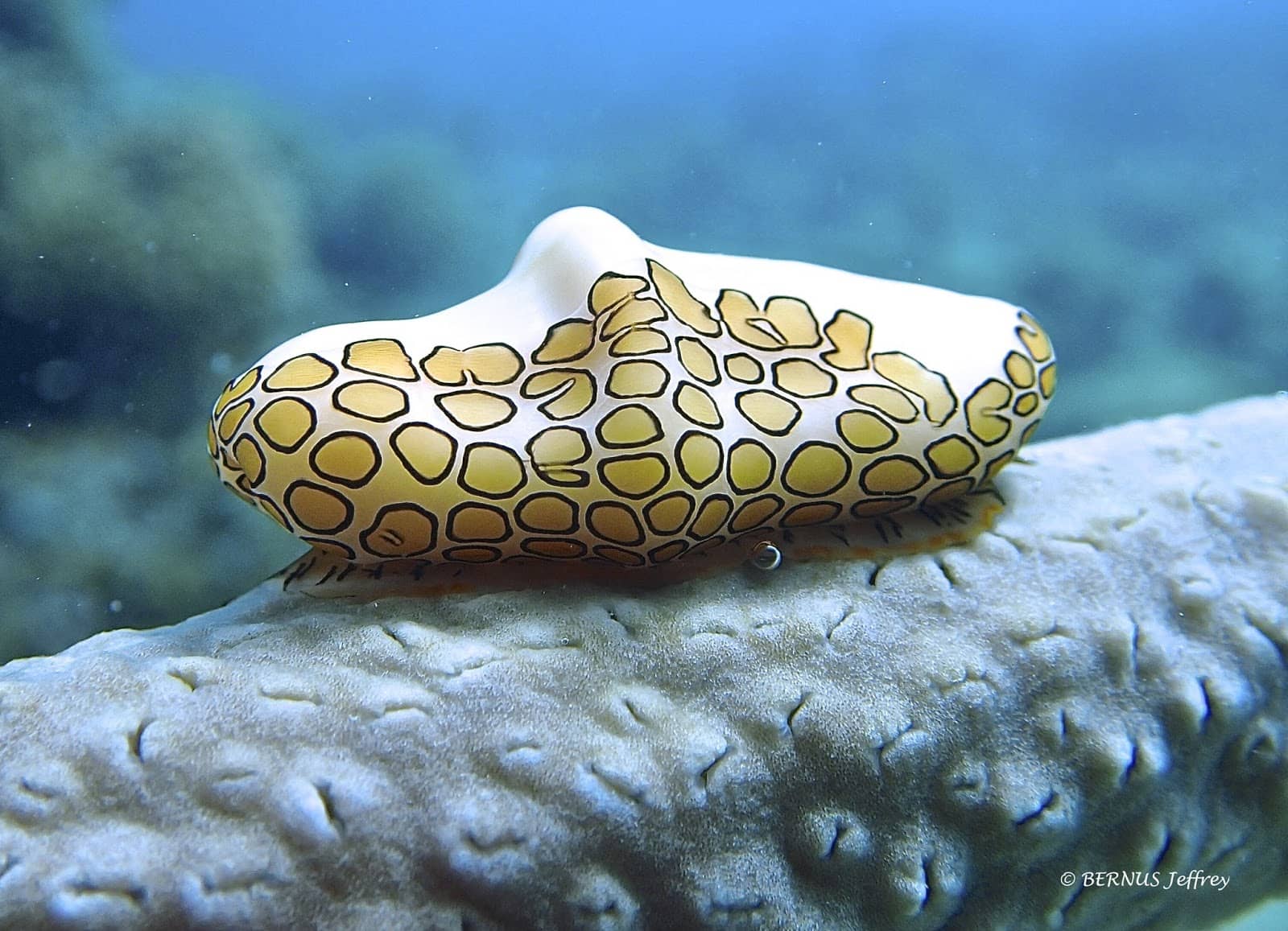 Grande Chute du Galion