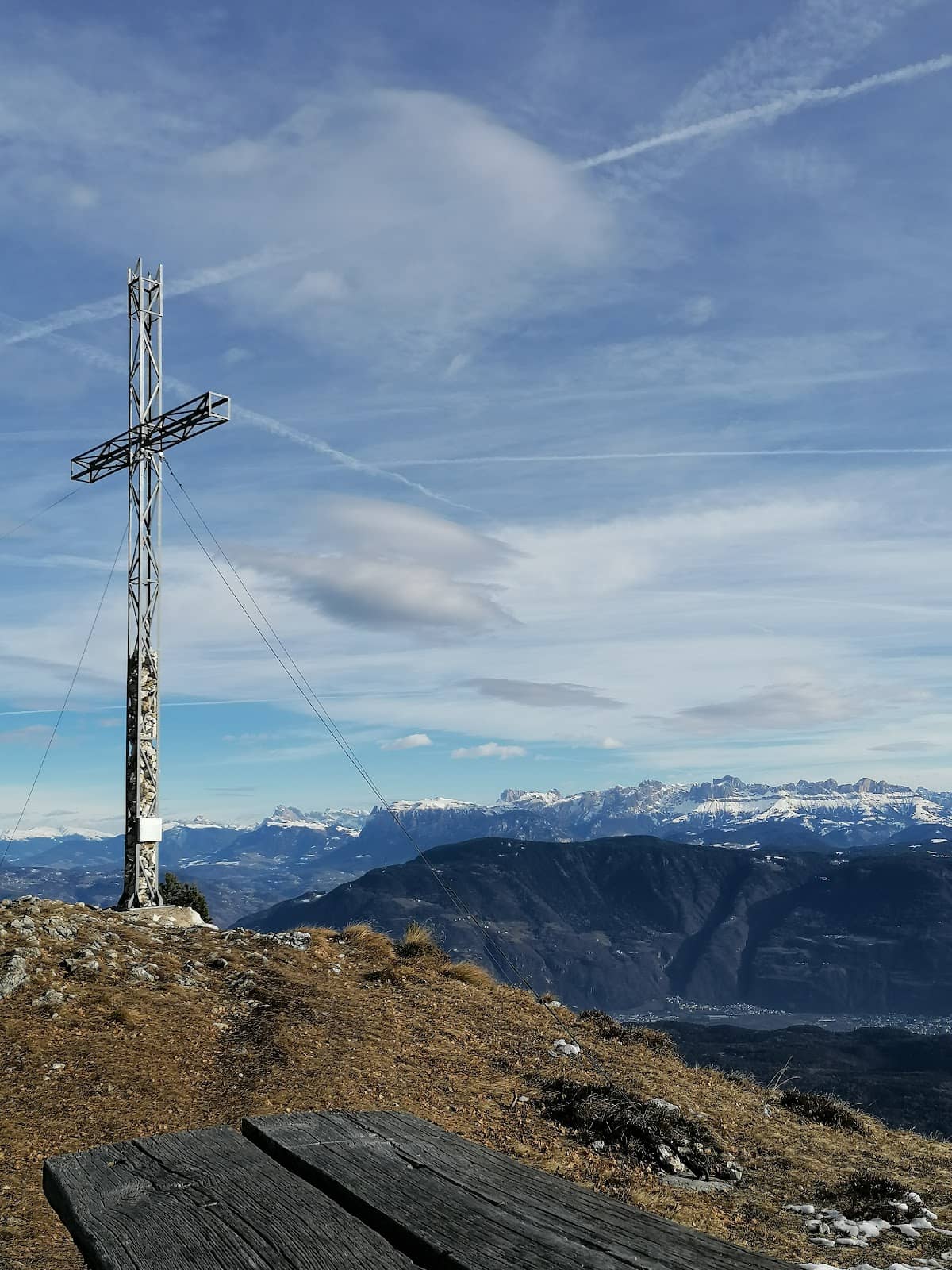 Alpine Forest Trails