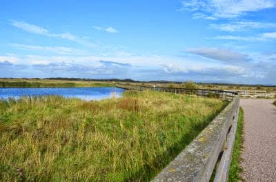 Fleetwood Marsh Nature Park - Image 1