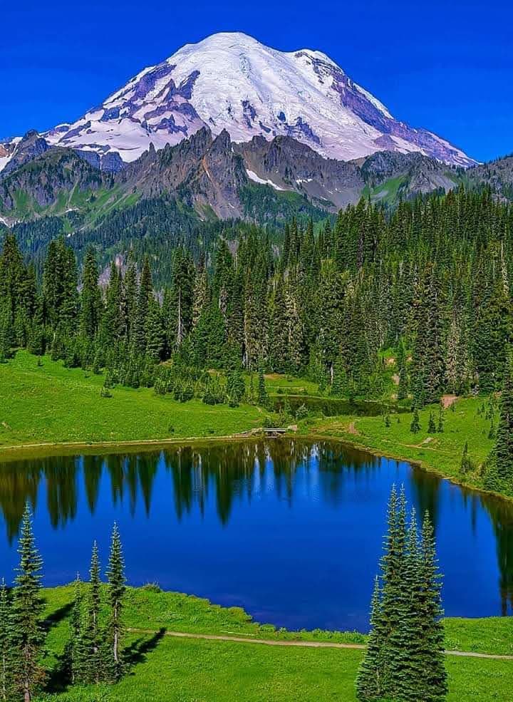 Tipsoo Lake Washington - Image 1