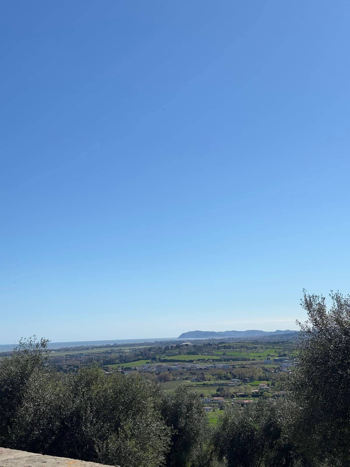 Green and Lush Landscape