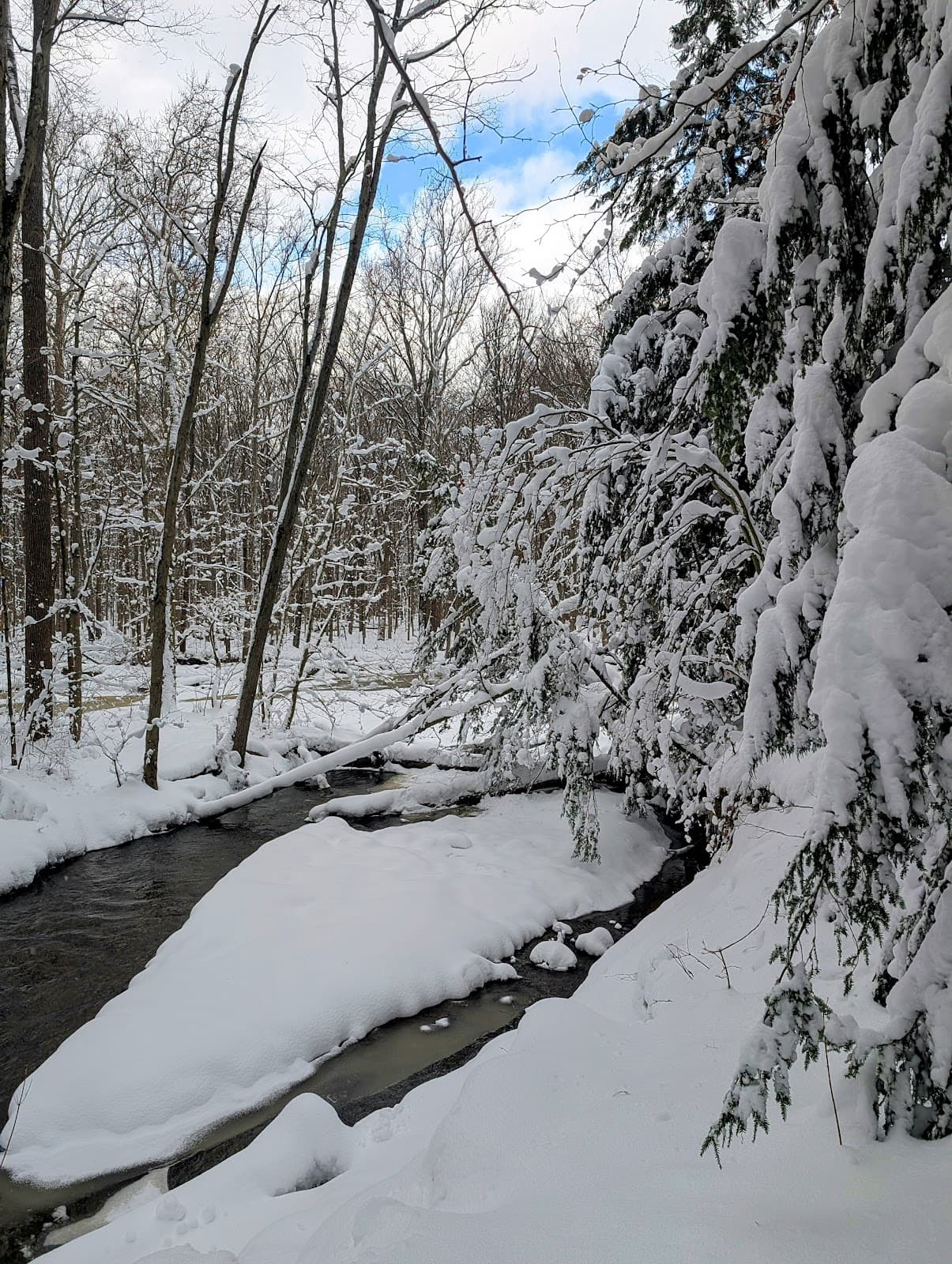 Hogback Ridge Park - Image 1
