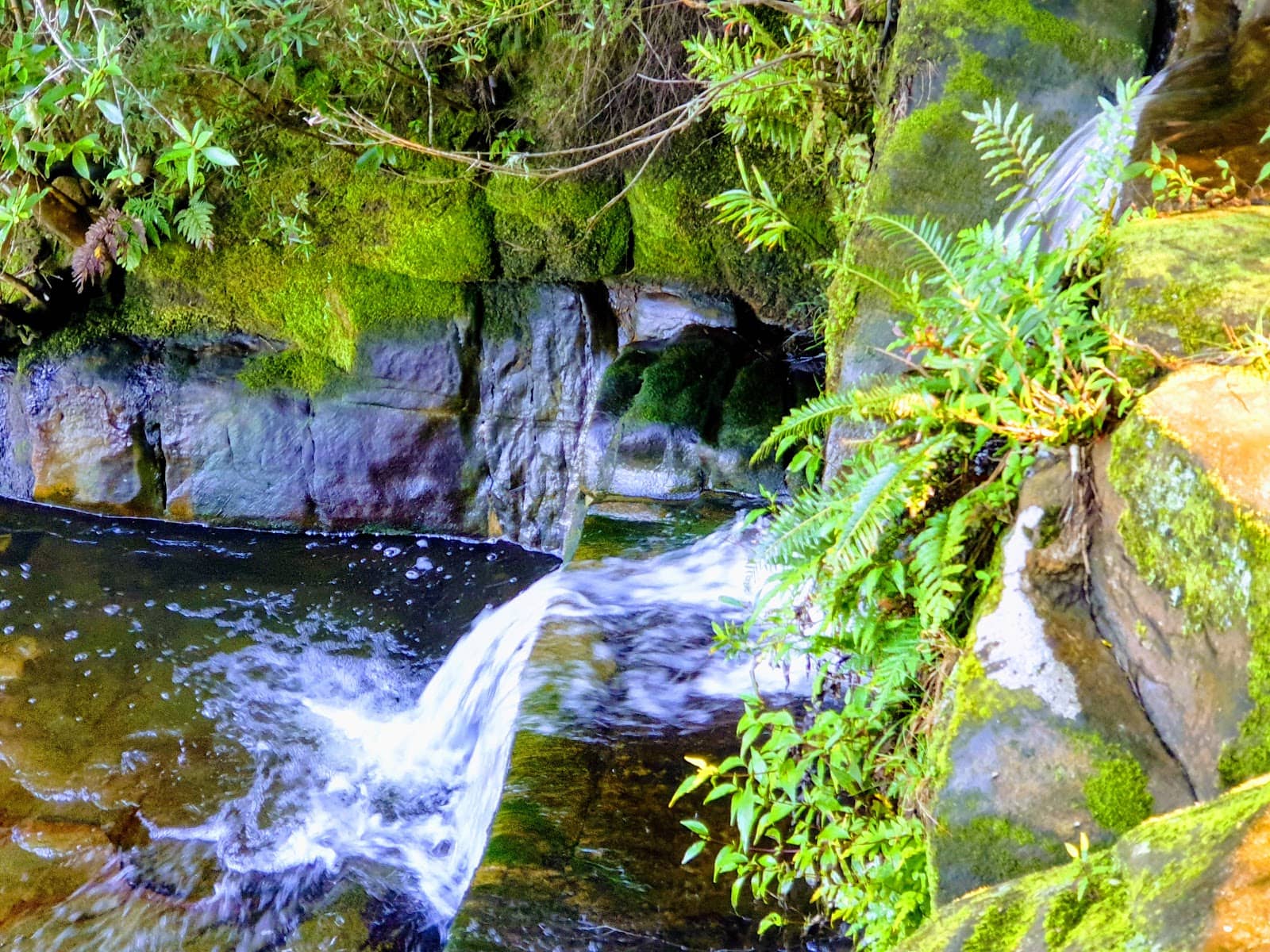 Garawarra State Conservation Area