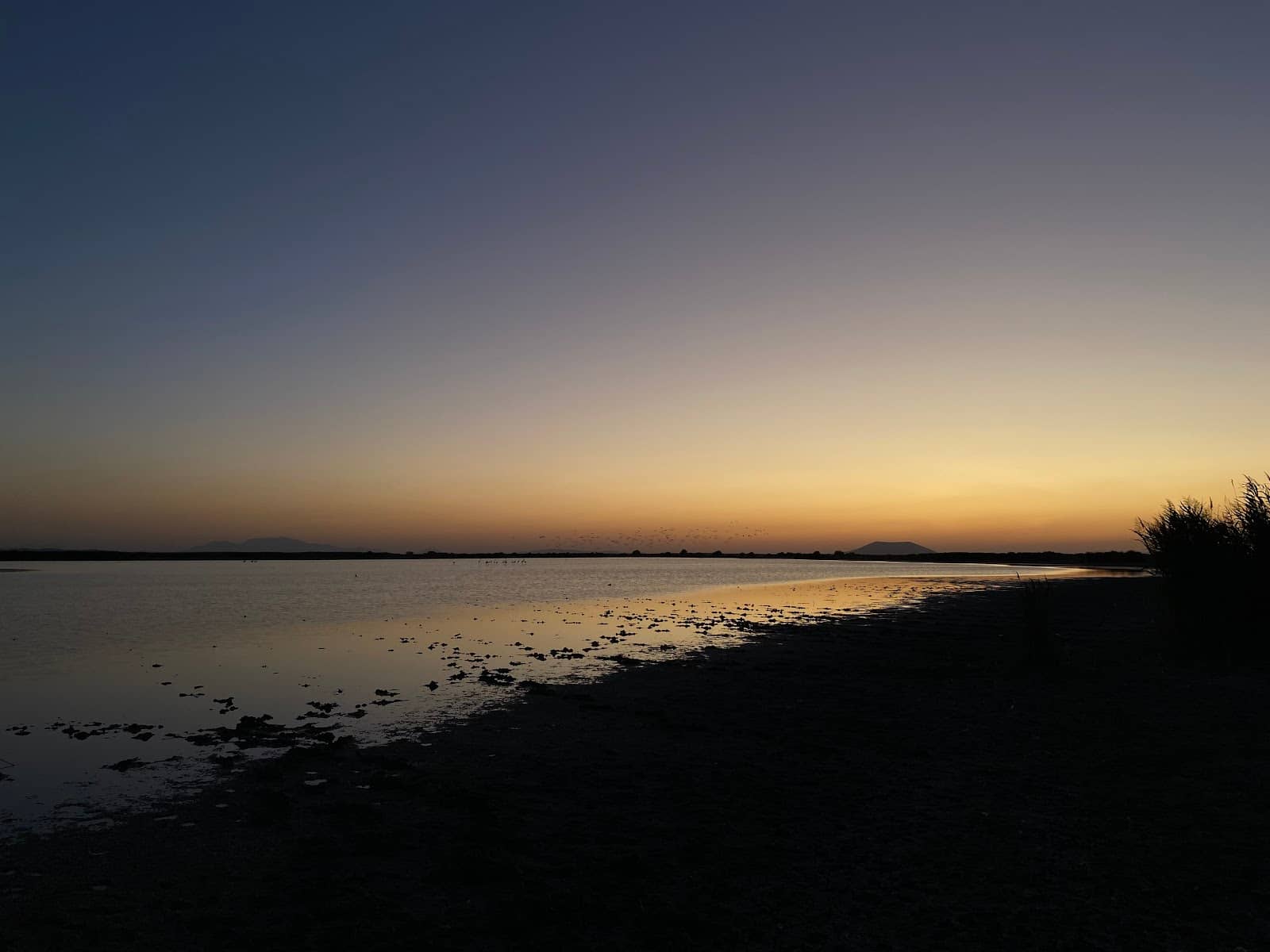 Birdwatching Paradise