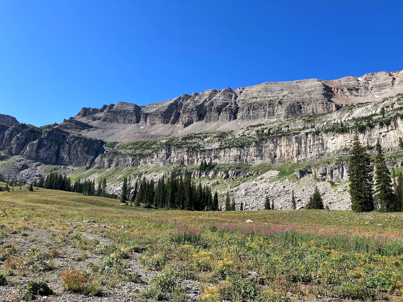 Meandering River & Waterfalls