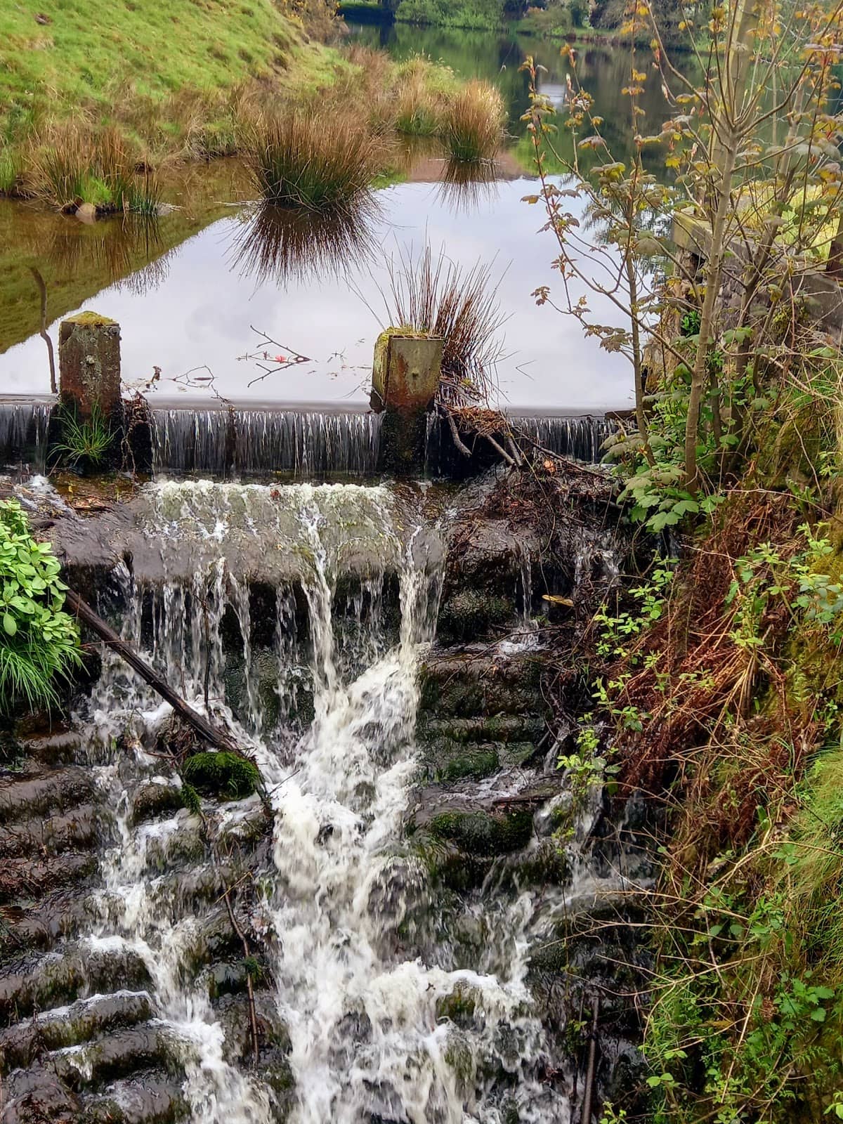 Waterfalls and Streams