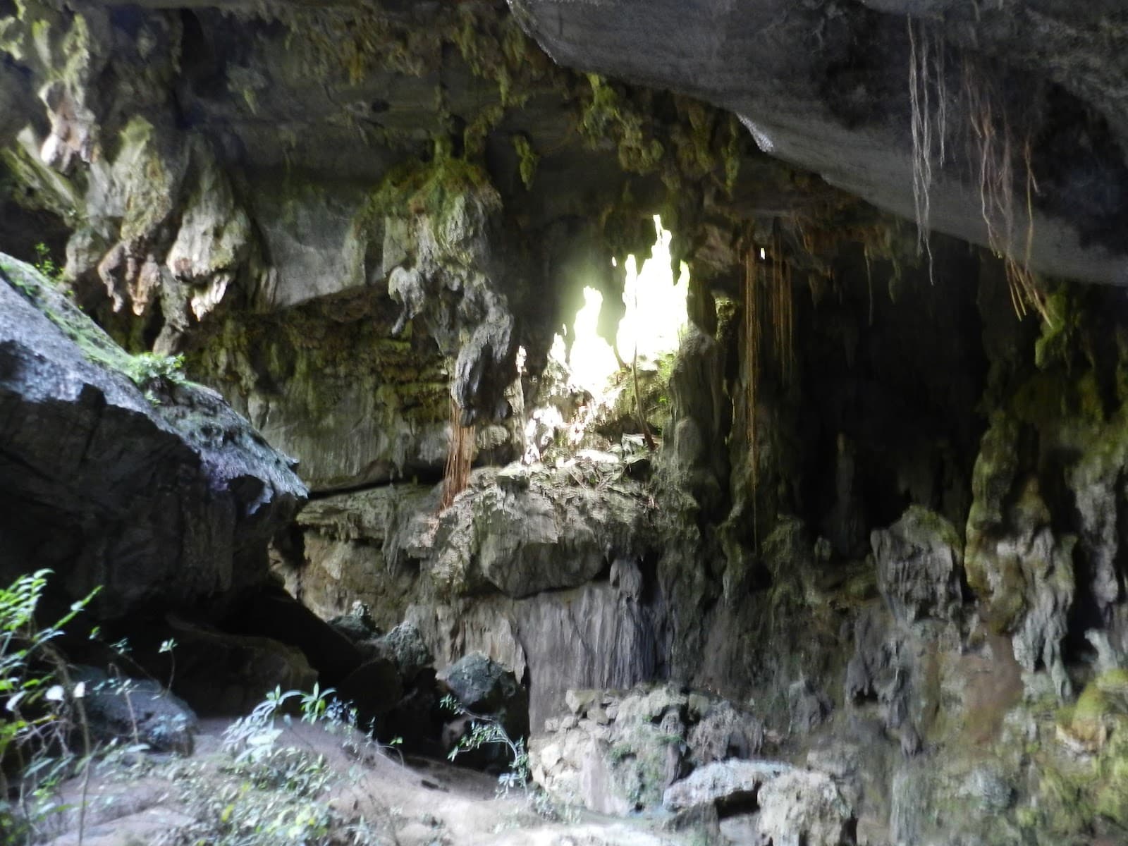 Gran Caverna de Santo Tomás - Image 1