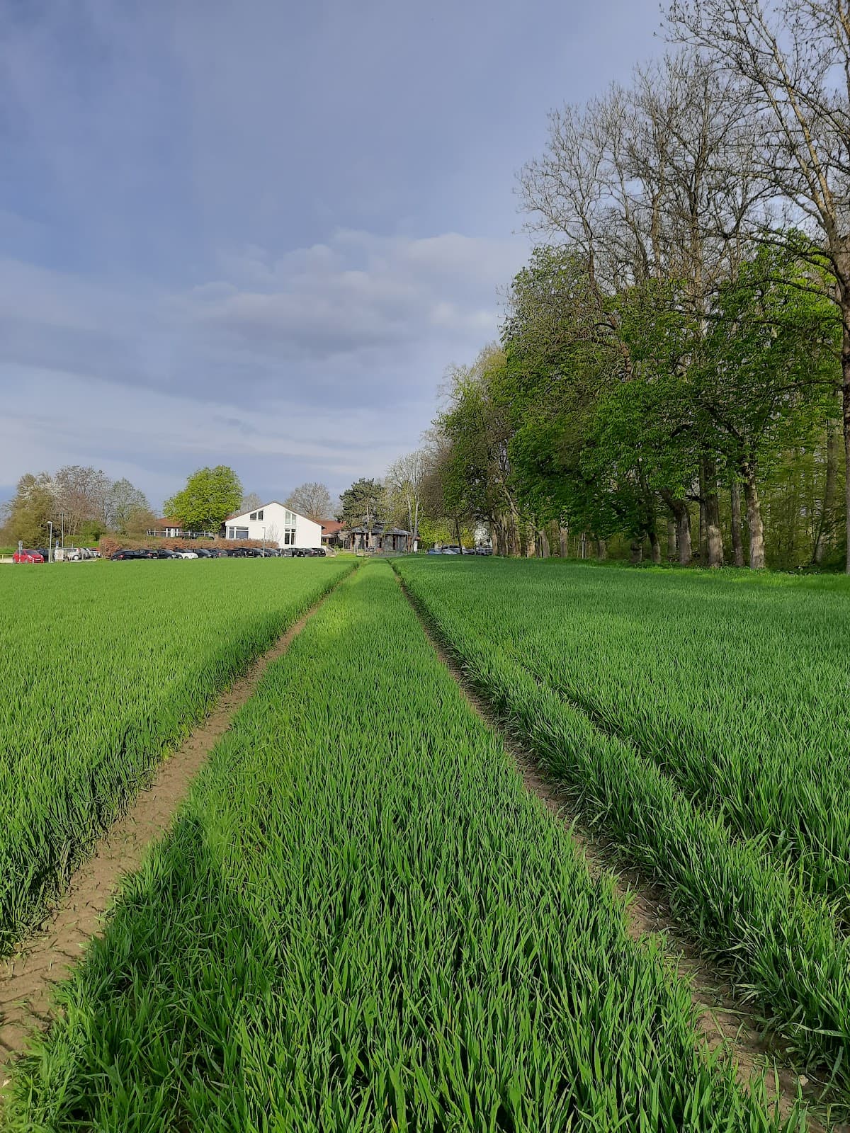 Eselsberg Ulm - Image 1