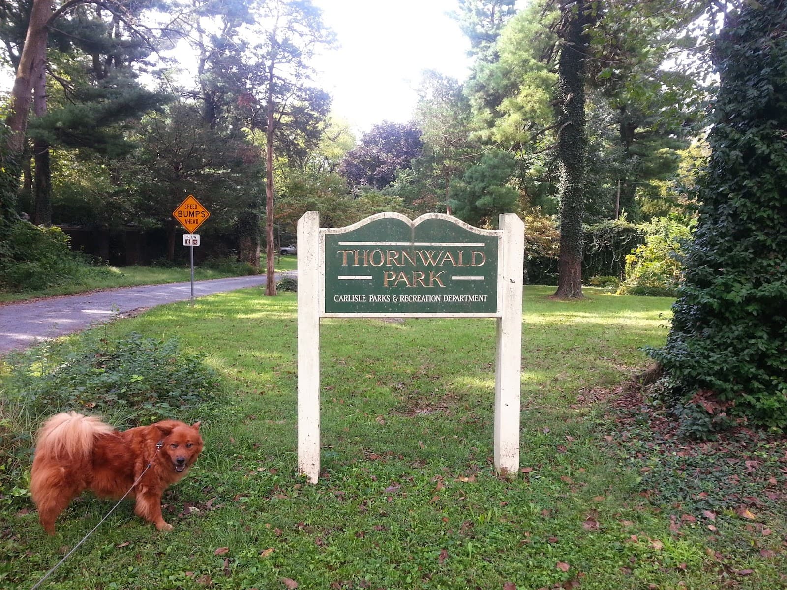 Thornwald Park - Image 1