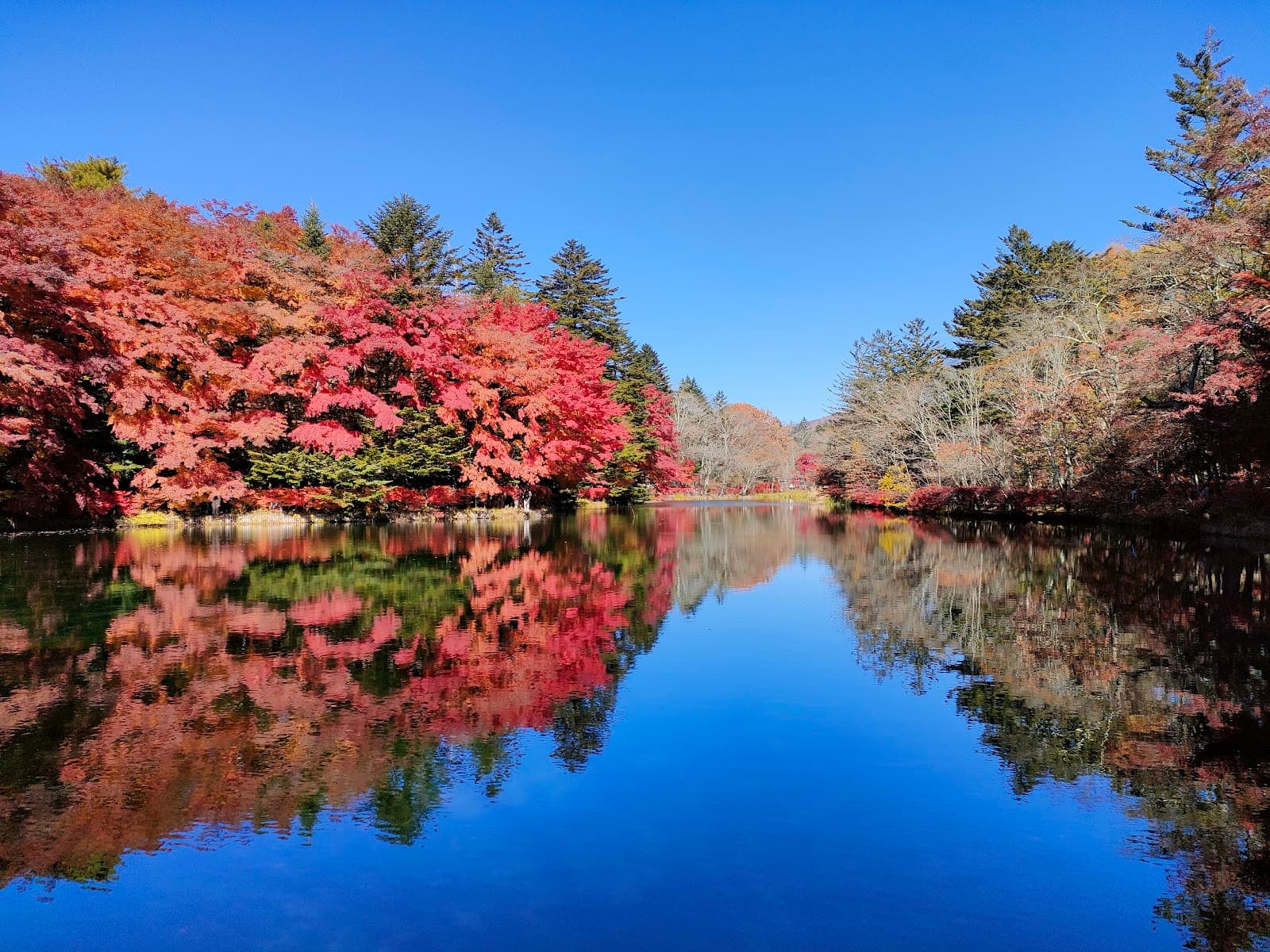 Kumoba Pond (Cloud Pond) - Image 1