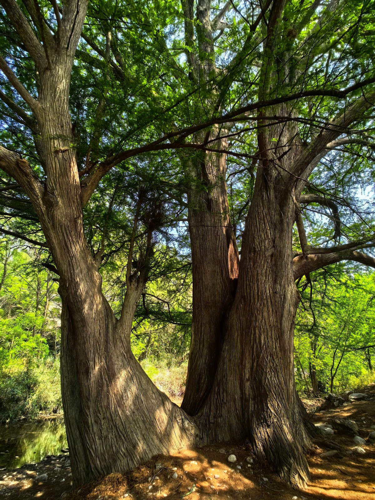 Río La Silla Linear Park - Image 1